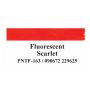 Farba akrylowa R&L Crafter's Choice 59ml, Czerwona/Fluorescent Scarlet - 3